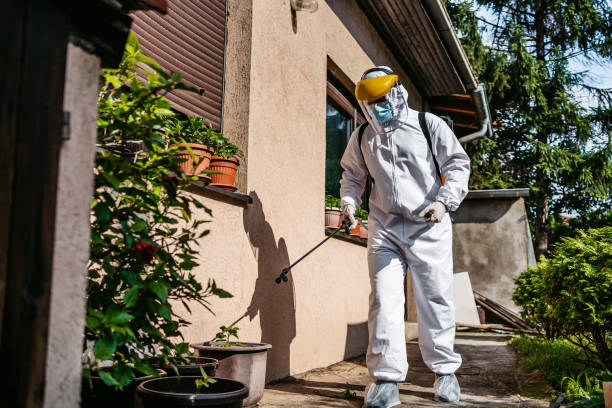 Flea Control Services in Bigfork, MT