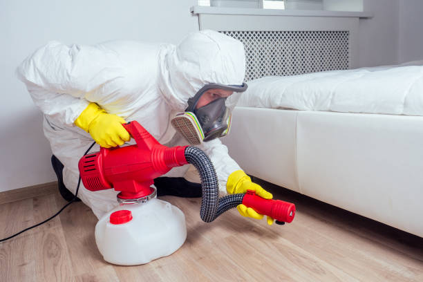 Best Mosquito Control Services  in Bigfork, MT