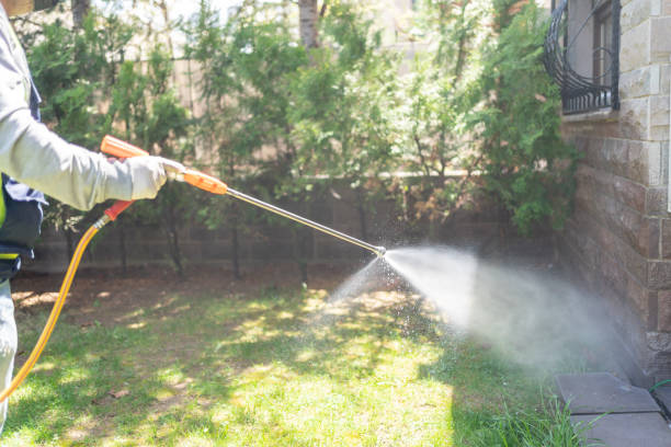Best Pest Removal Services  in Bigfork, MT