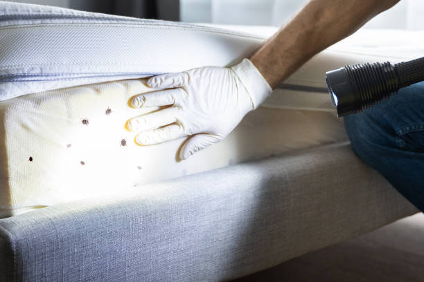 Best Pest Inspection Near Me  in Bigfork, MT