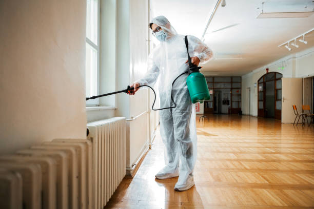 Best Pest Control for Homes  in Bigfork, MT