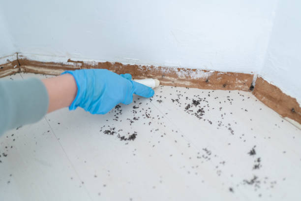Best Pest Control Cost  in Bigfork, MT